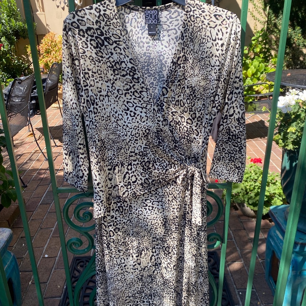 GOES EVERYWHERE DRESS
